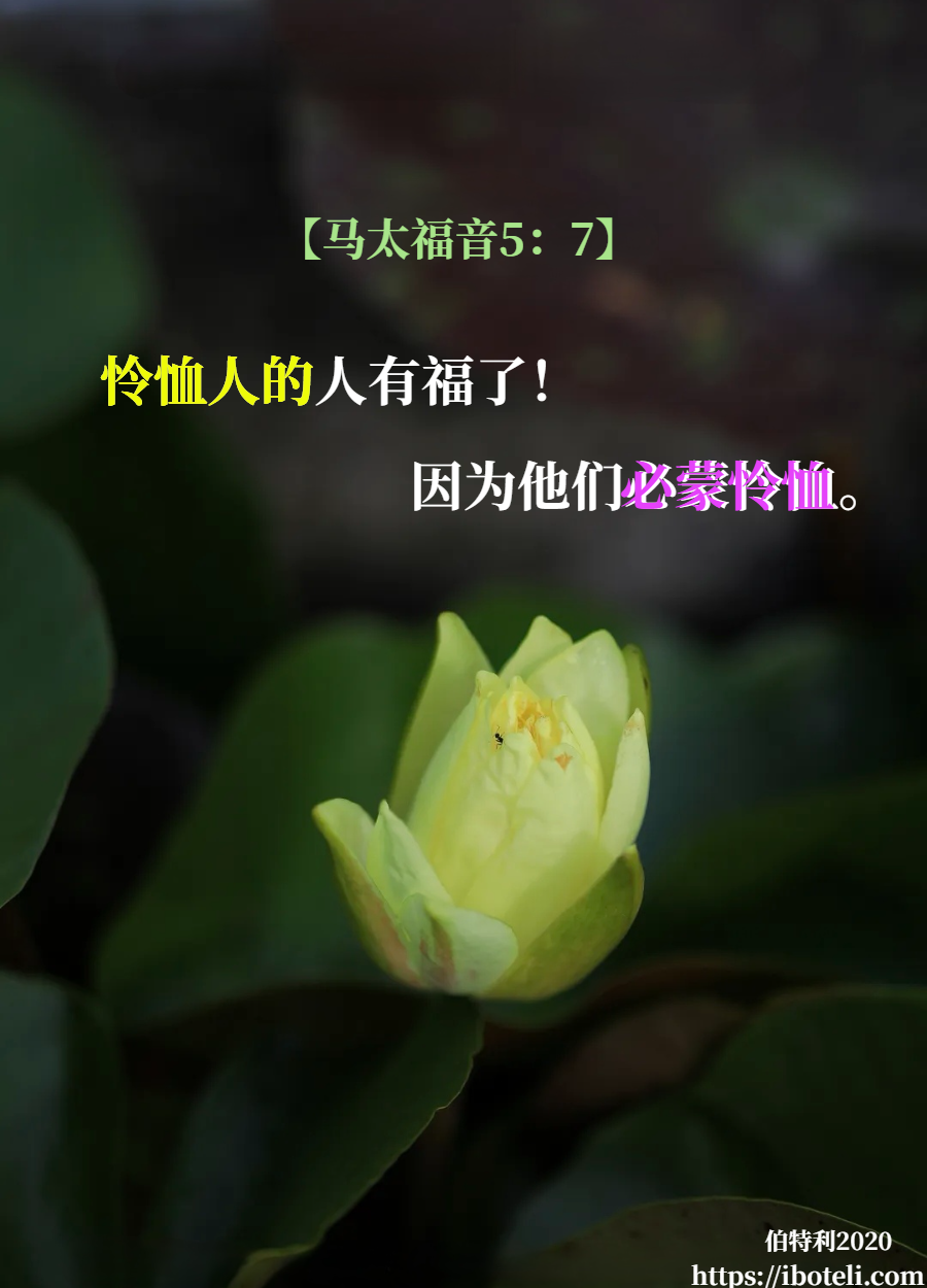 领会天父的心意（319） 当存怜悯恩慈的心