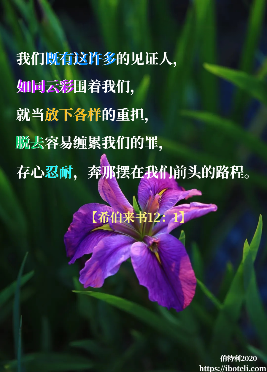 领会天父的心意（325） 不可丢弃勇敢的心