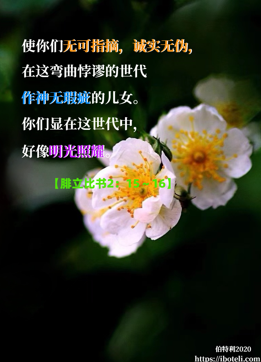 领会天父的心意（330） 无可指摘，诚实无伪