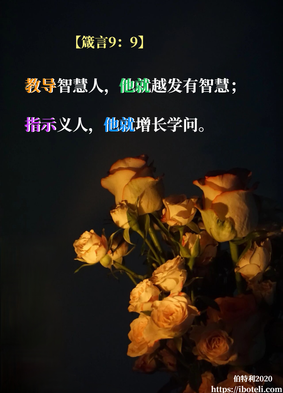领会天父的心意（333） 把握当下，不负时光
