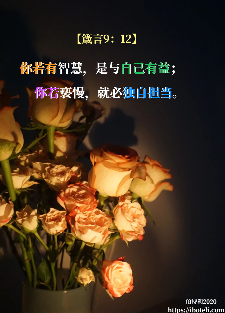 领会天父的心意（333） 把握当下，不负时光