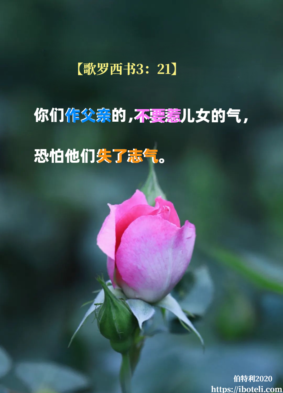 领会天父的心意（340） 爱的鼓励