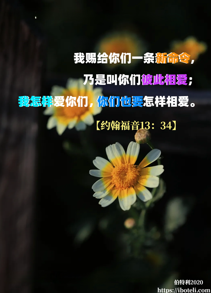 领会天父的心意（342） 基督徒的品格和标记