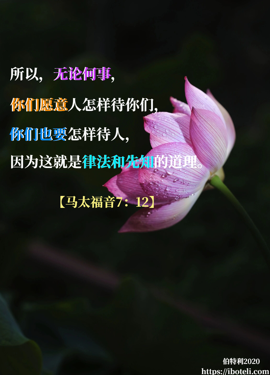 领会天父的心意（343） 用智慧与人交往