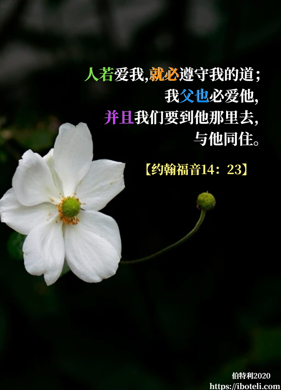 领会天父的心意（345） 甘心就开心