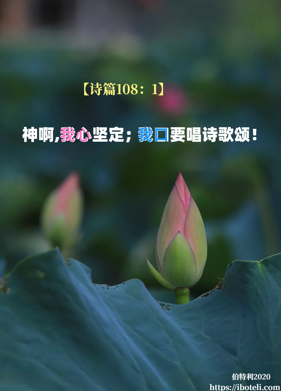 领会天父的心意（346） 我心坚定，我口歌颂