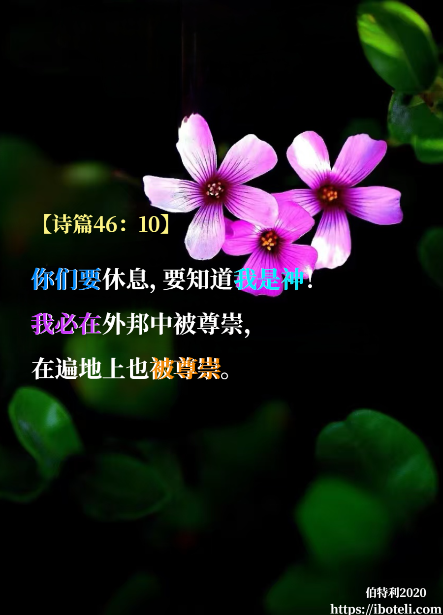 领会天父的心意（347） 祂是避难所