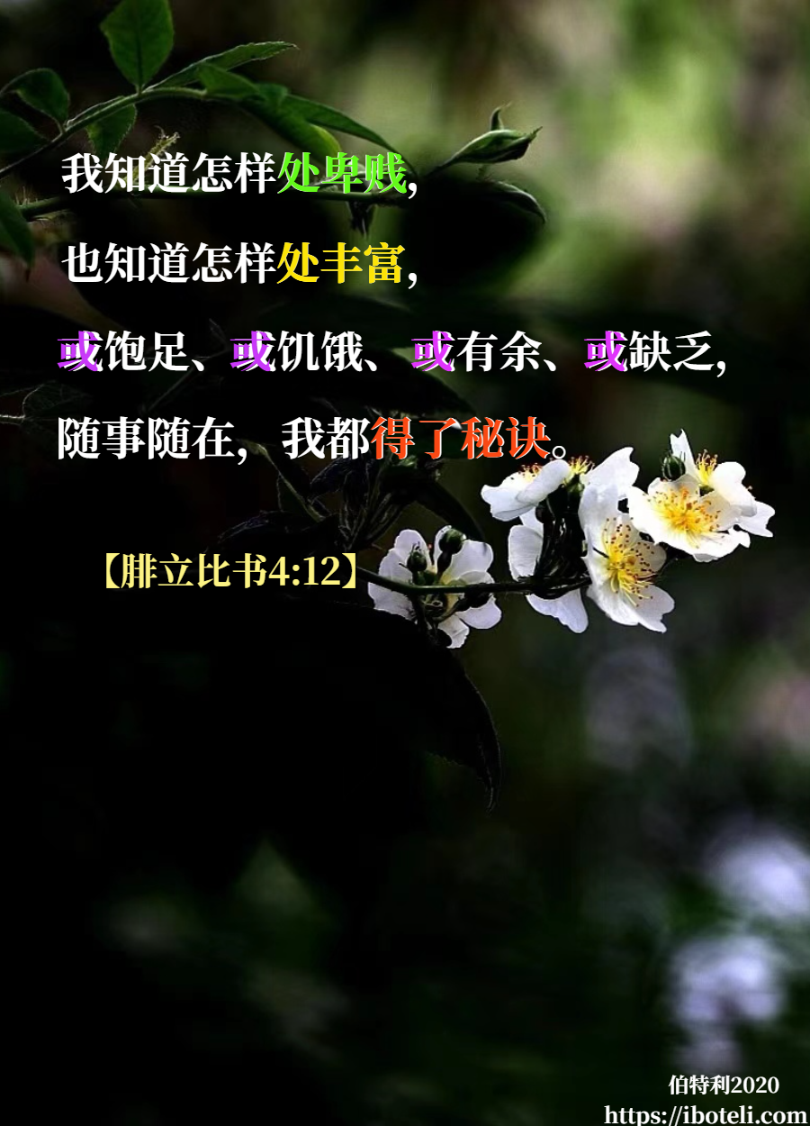 领会天父的心意（348） 随遇而安，锻造自己