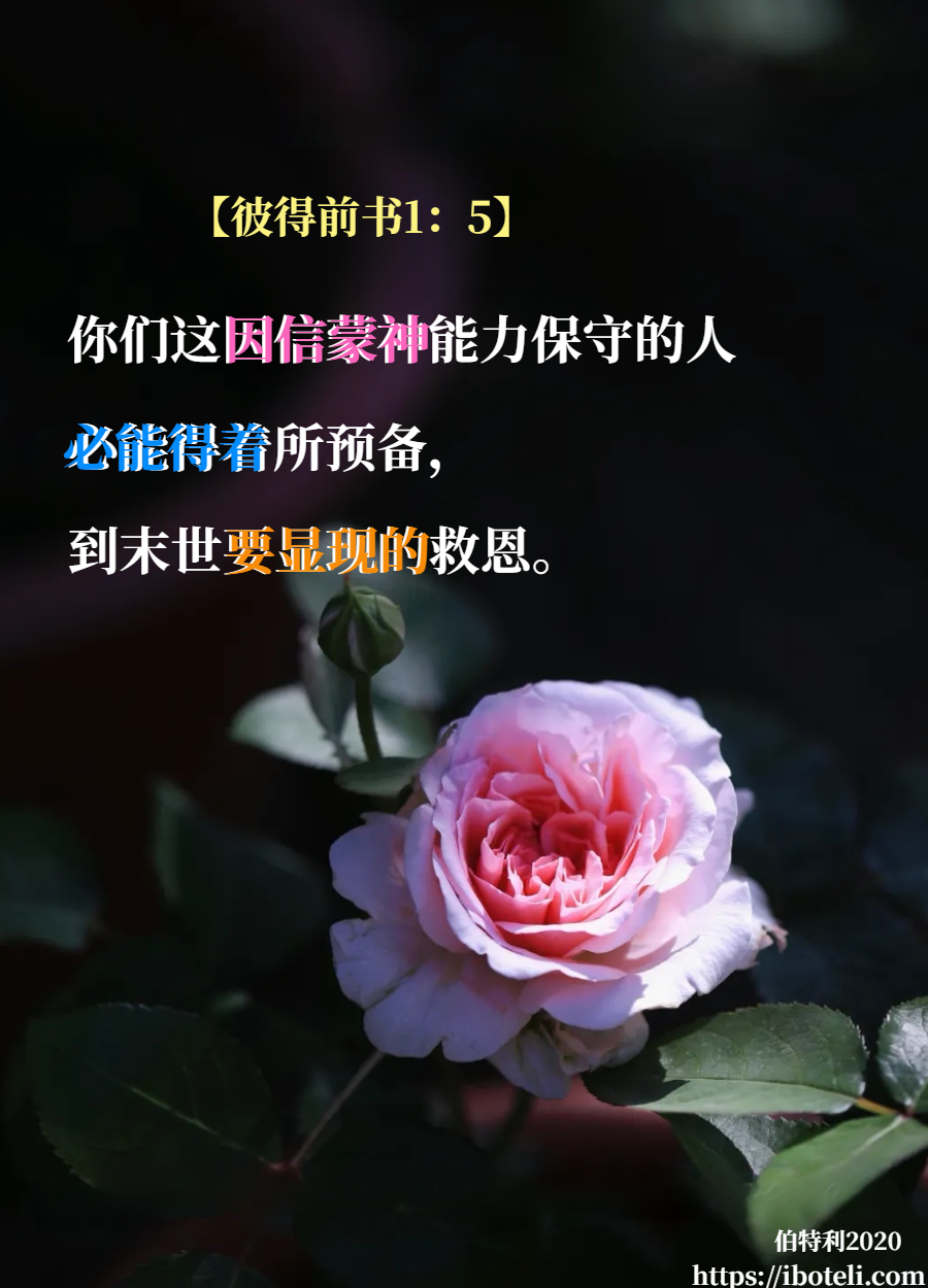 领会天父的心意（350） 回转向祂！