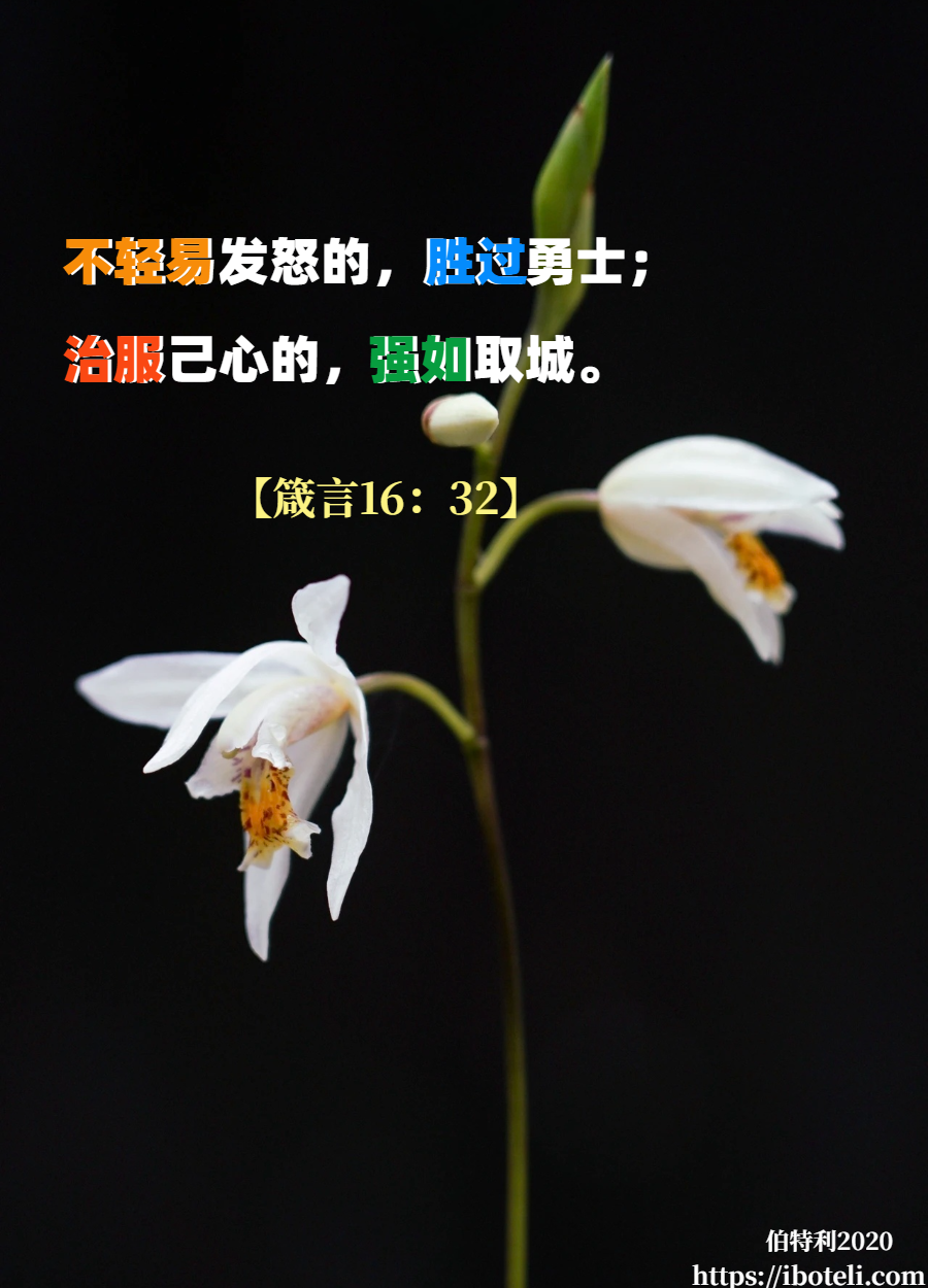 领会天父的心意（351） 不轻易发怒