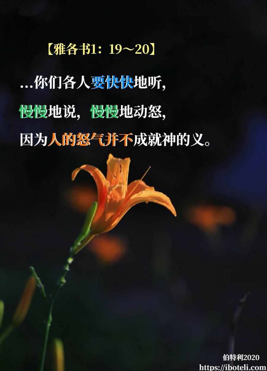领会天父的心意（351） 不轻易发怒