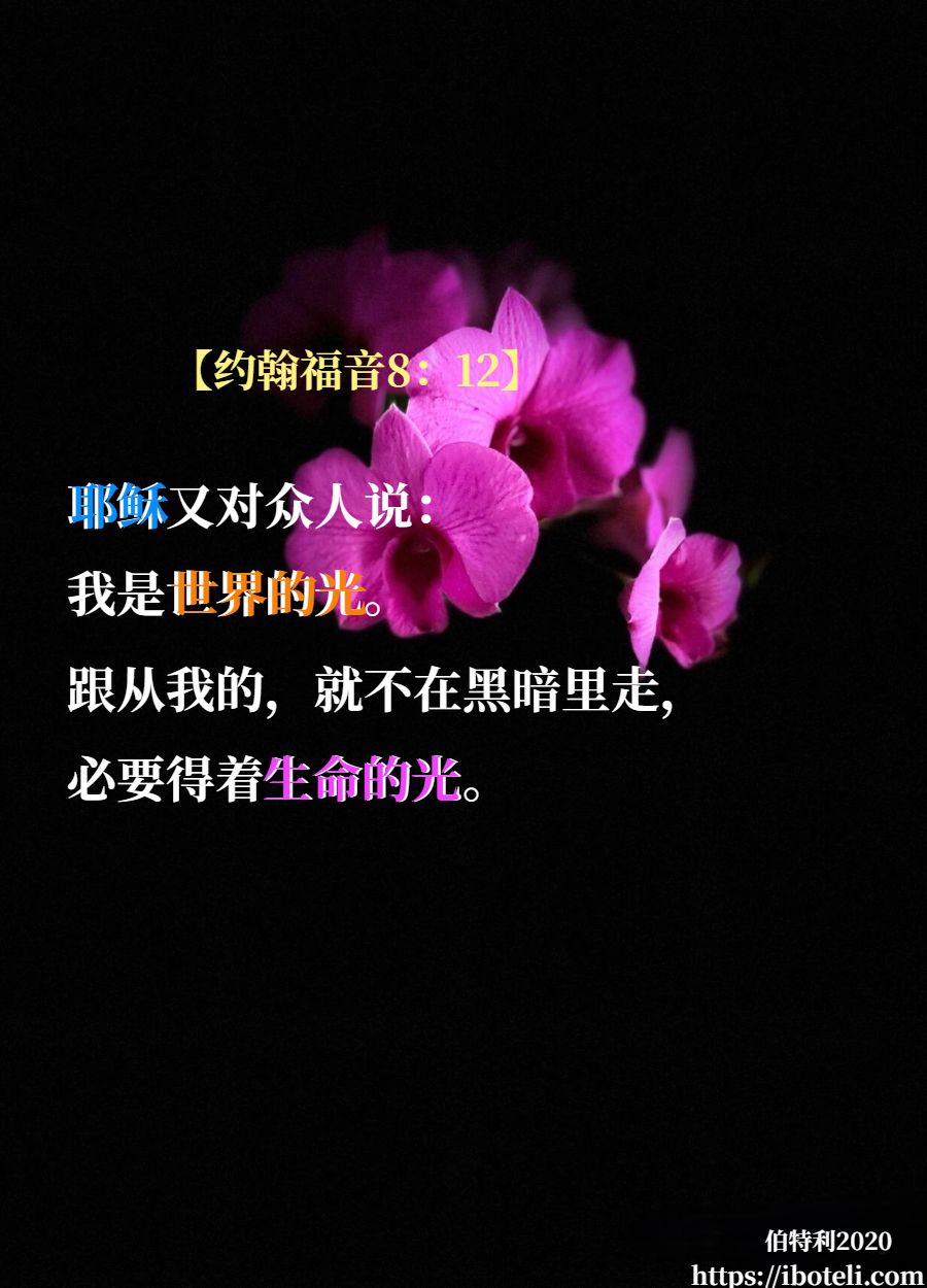 领会天父的心意（356） 专注而非分散注意力