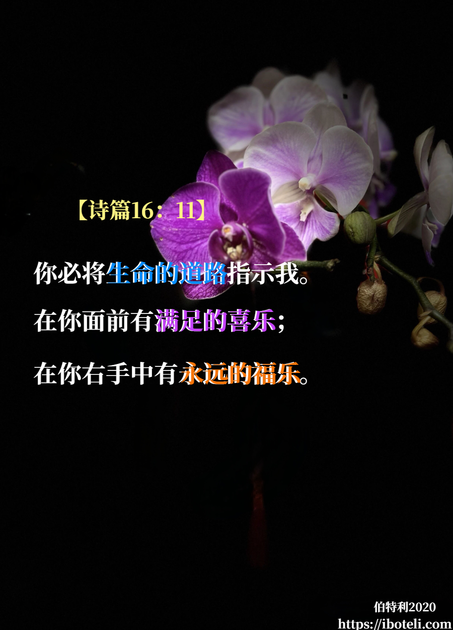 领会天父的心意（358） 喜乐而非自怜