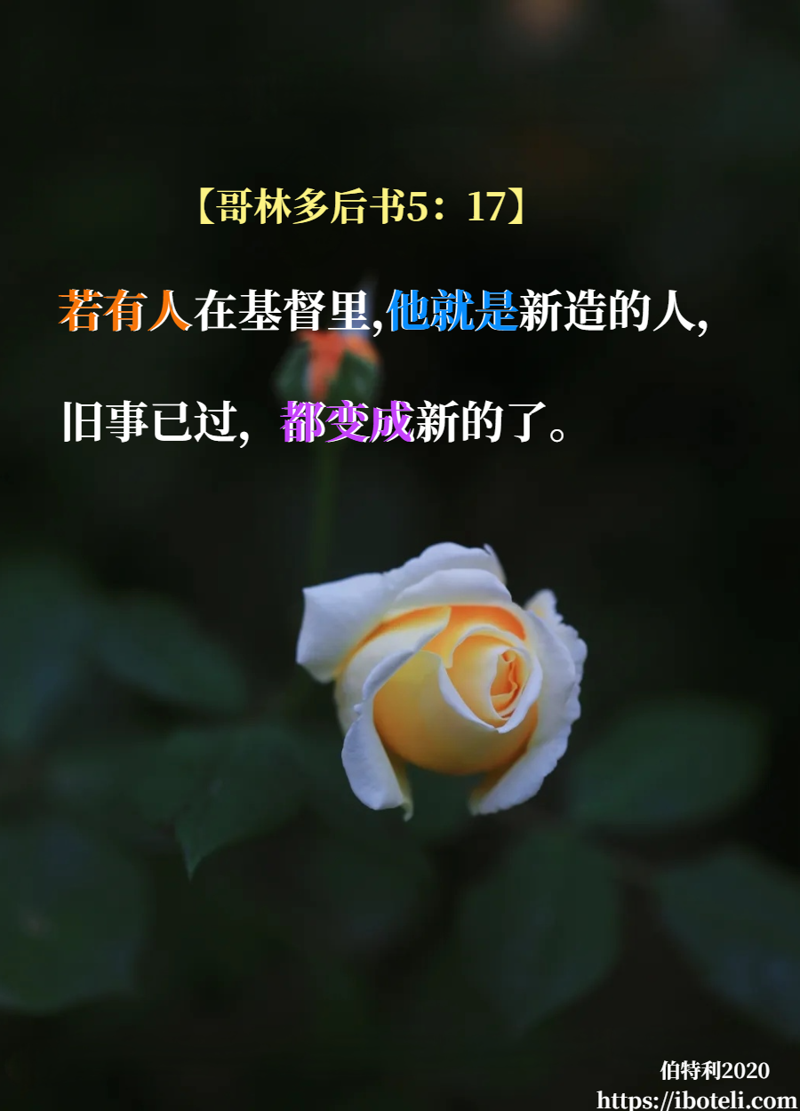 领会天父的心意（359） 活出，新造之人的形象