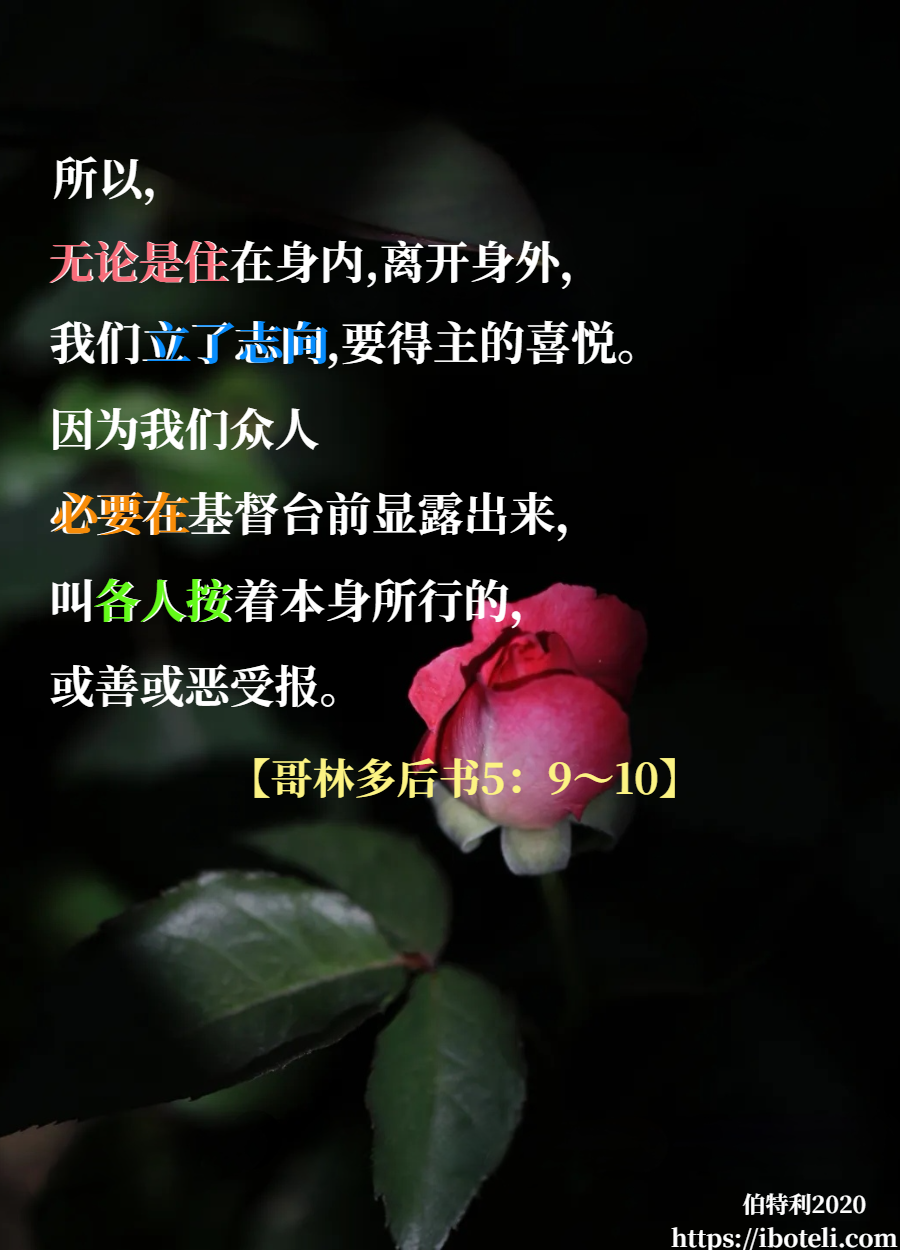 领会天父的心意（359） 活出，新造之人的形象