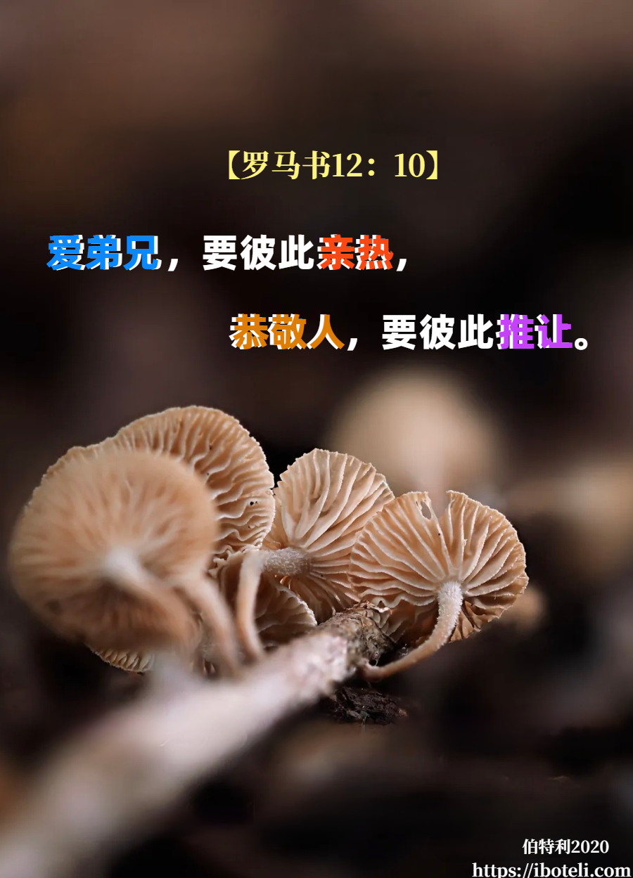 领会天父的心意（367） 尊重，而非无礼