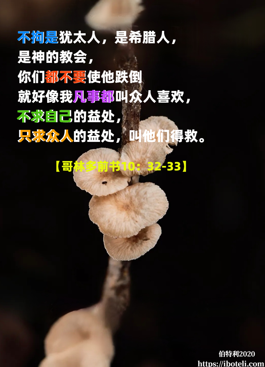 领会天父的心意（367） 尊重，而非无礼