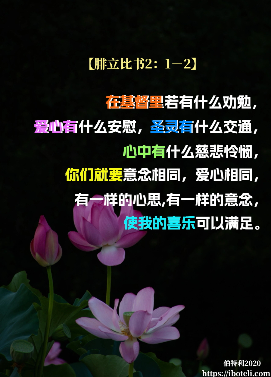 领会天父的心意（373） 合一，而非分裂