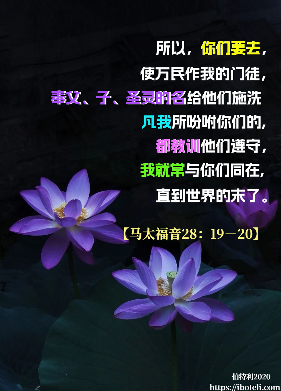 领会天父的心意（373） 合一，而非分裂