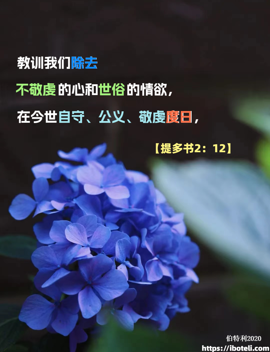 领会天父的心意（378） 节制，而非放纵