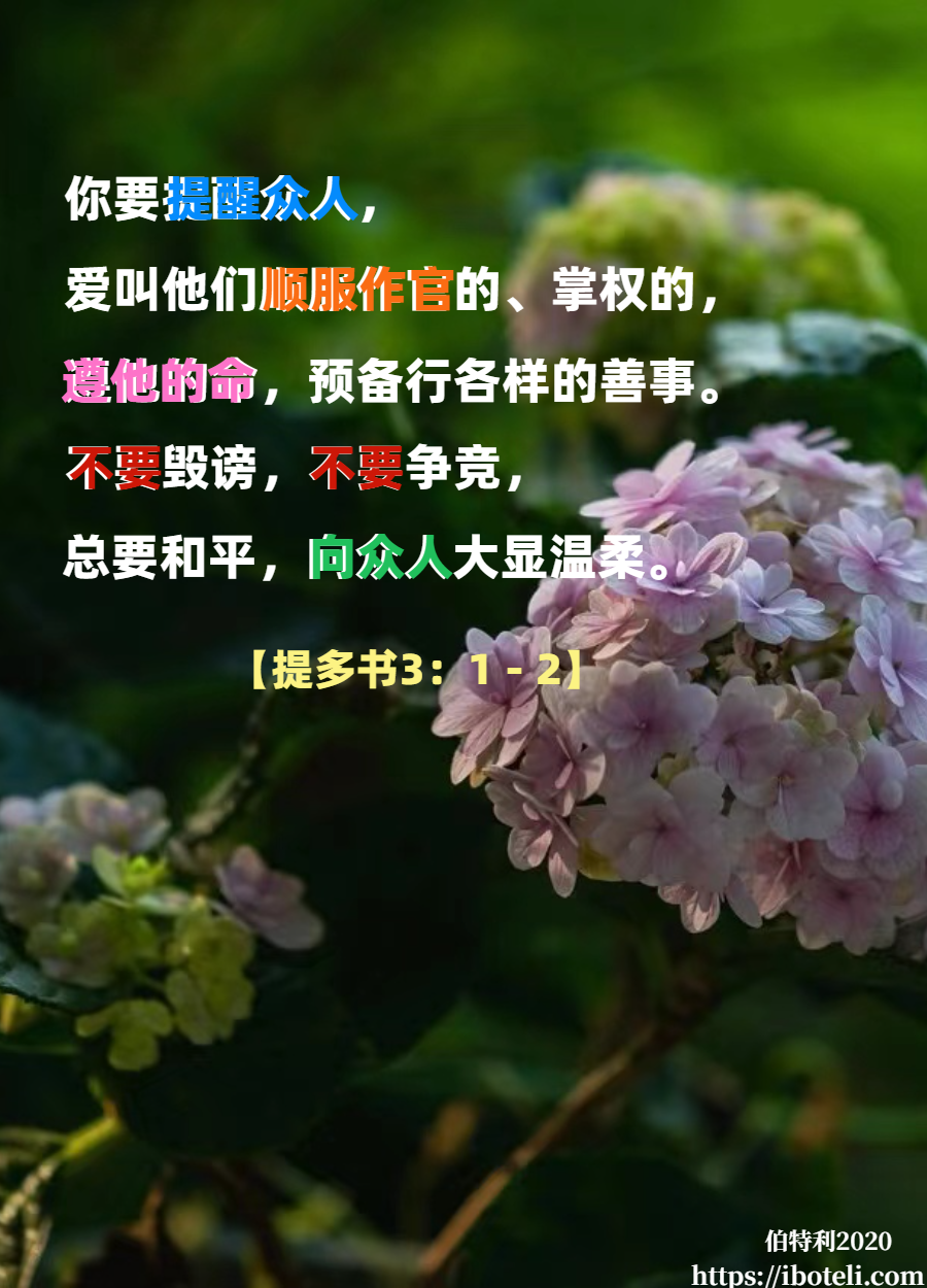 领会天父的心意（381） 温柔，而非易怒