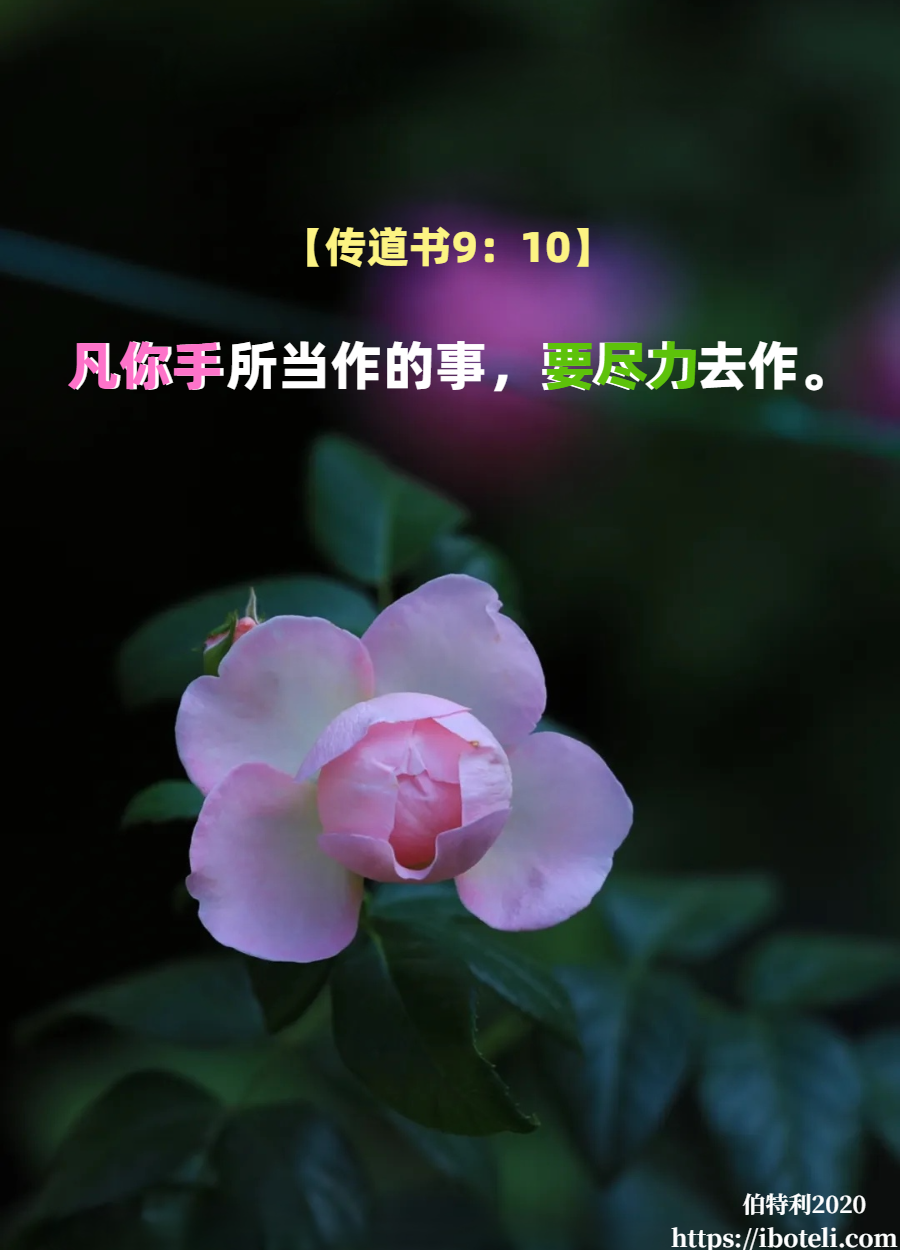 领会天父的心意（383） 周全，而非草率