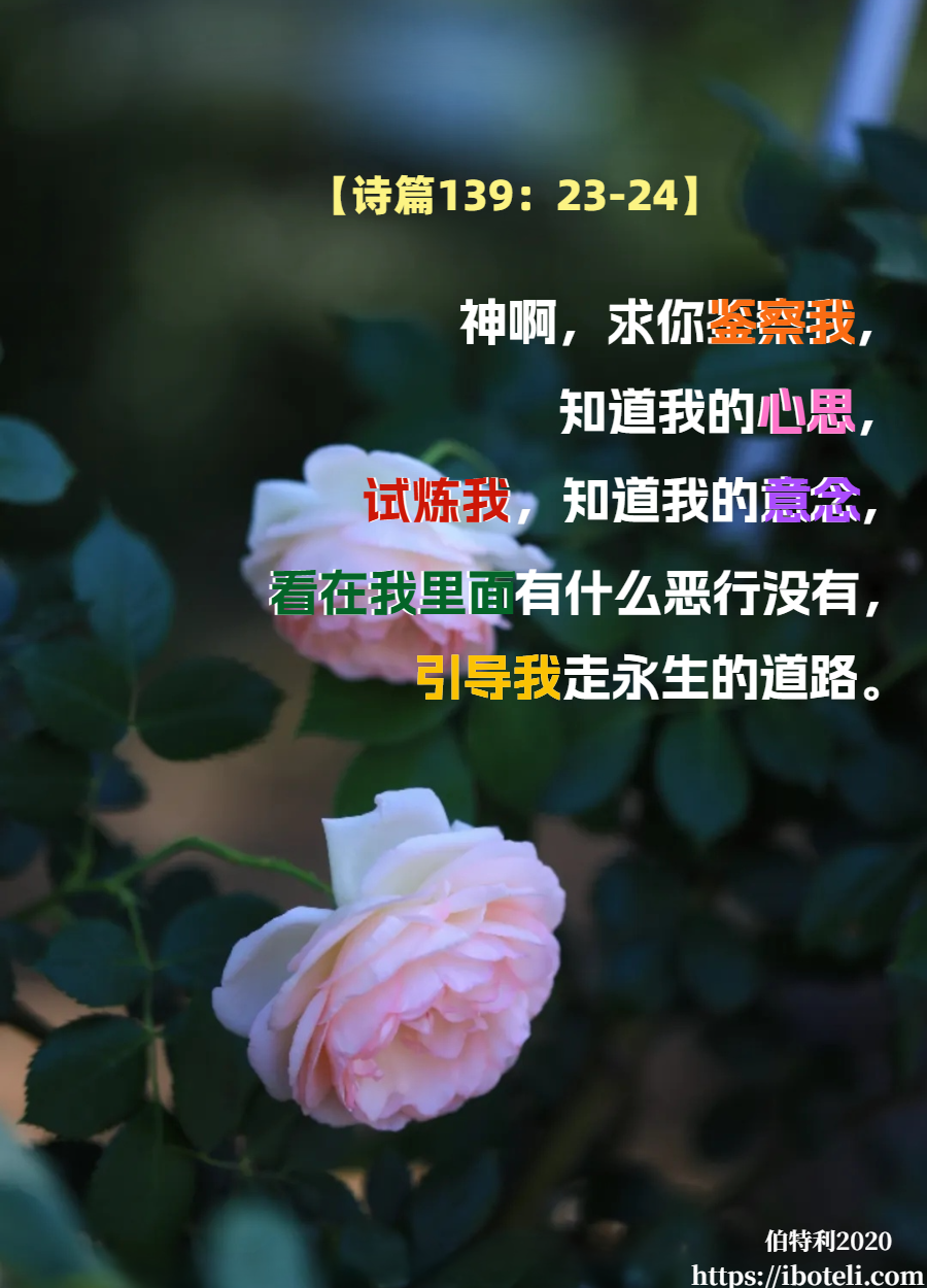 领会天父的心意（383） 周全，而非草率