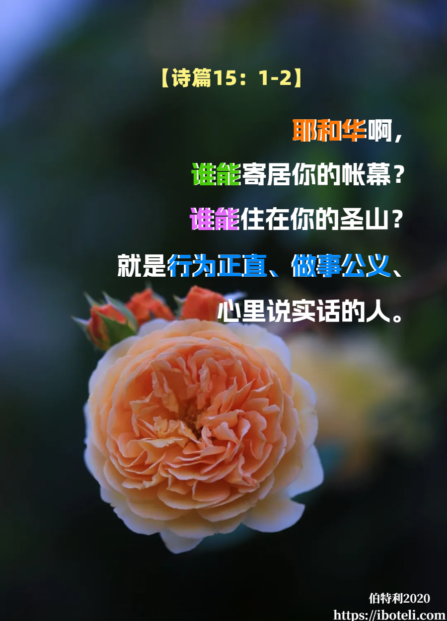 领会天父的心意（384） 诚恳，而非虚伪