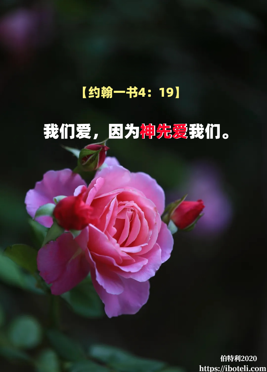 领会天父的心意（385） 忠贞，而非背信