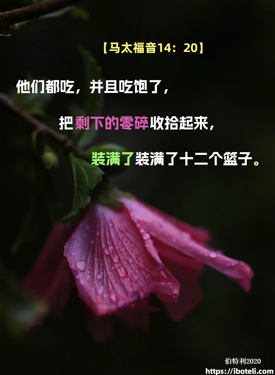 领会天父的心意（388） 节俭，而非奢侈