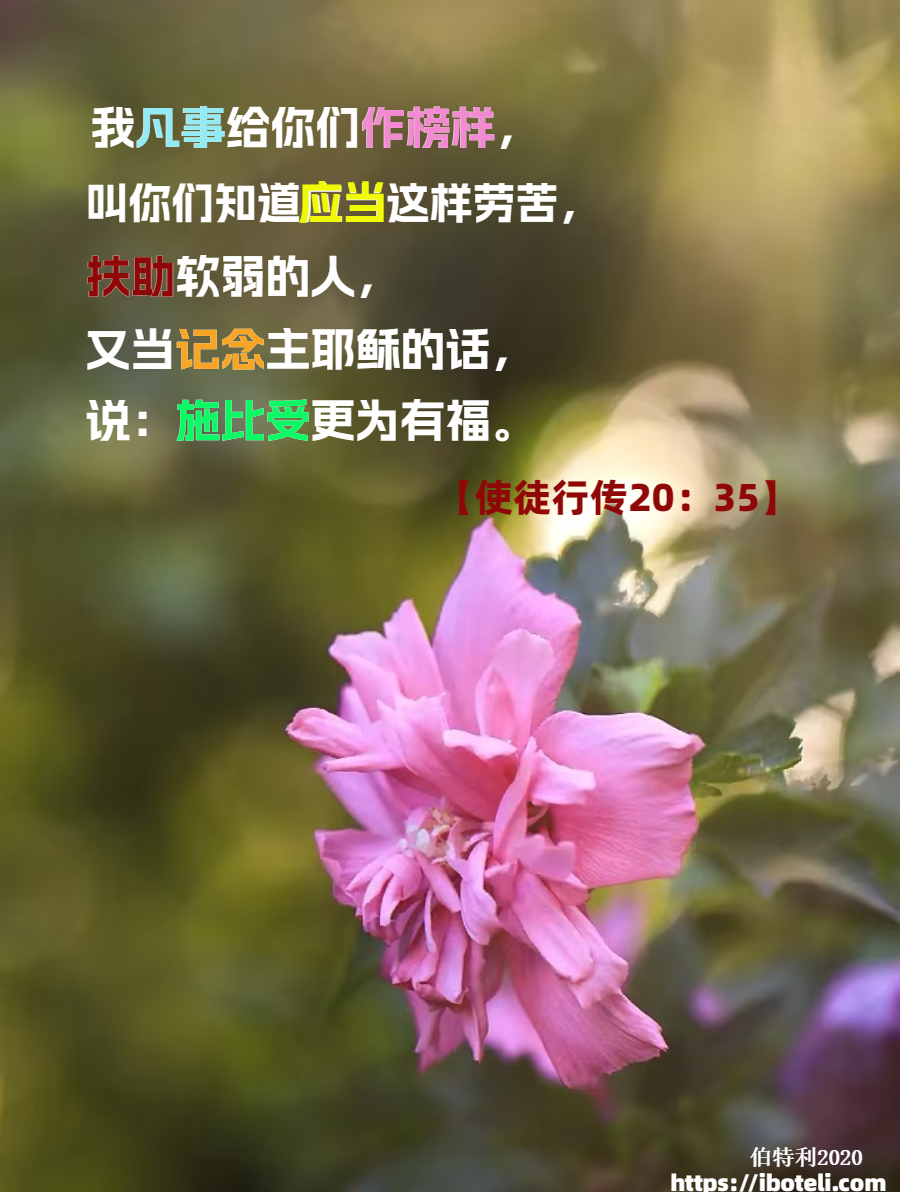 领会天父的心意（388） 节俭，而非奢侈