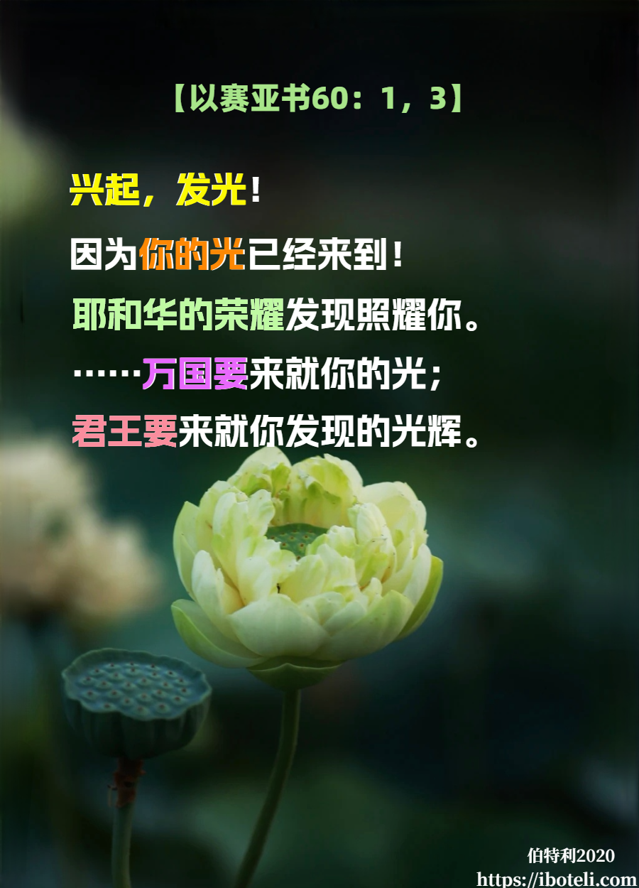 领会天父的心意（389） 美德，而非软弱