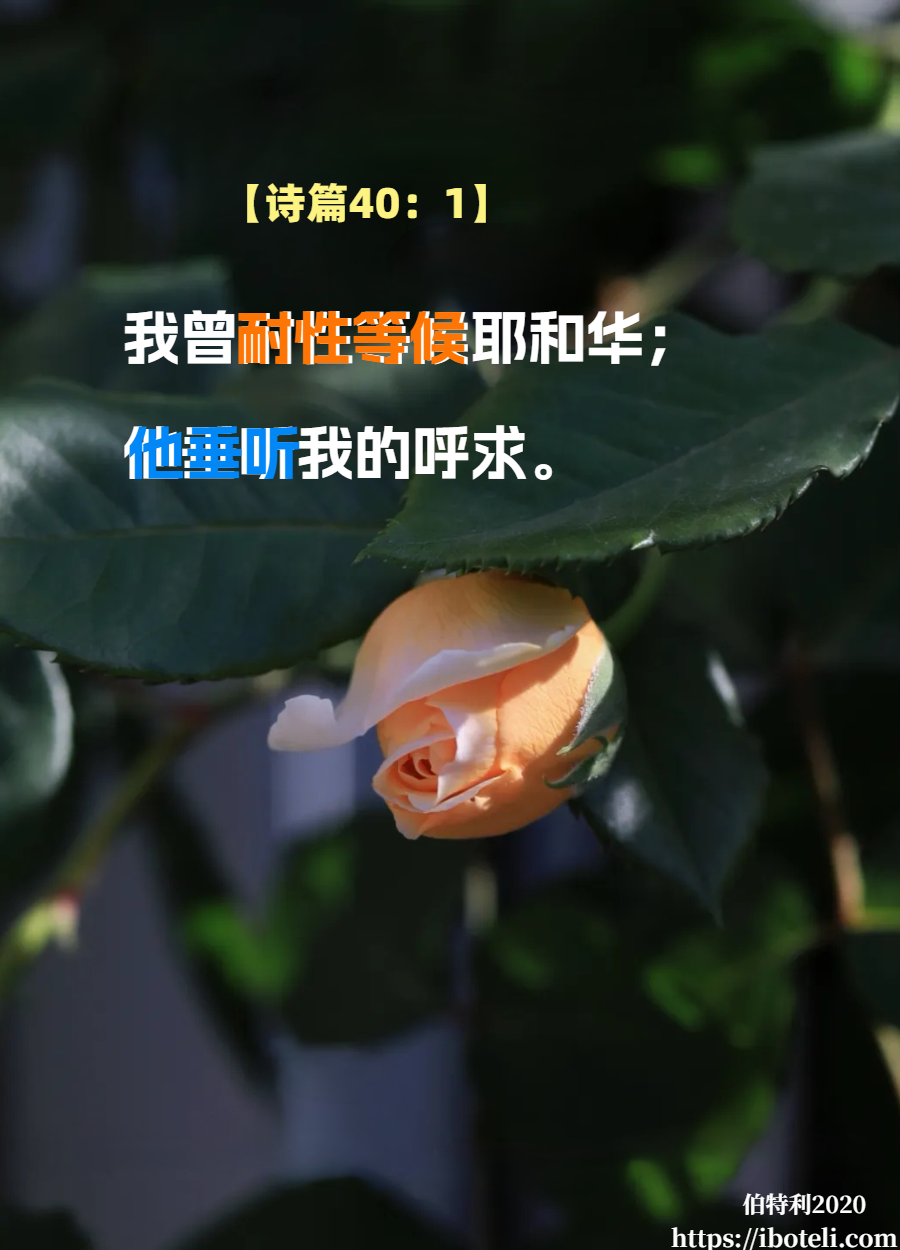 领会天父的心意（390） 有耐心，而非浮躁