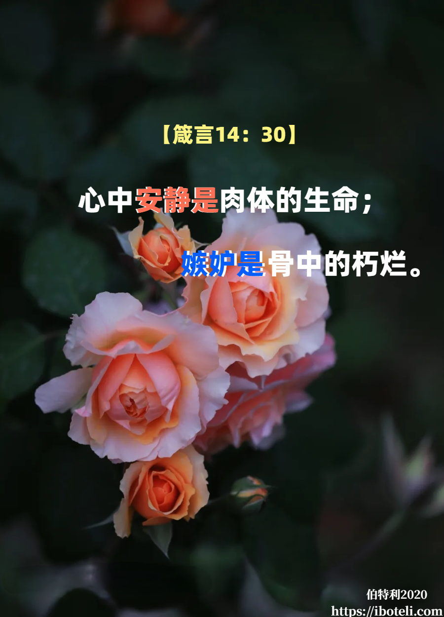 领会天父的心意（392） 弃绝嫉妒，彼此祝福！