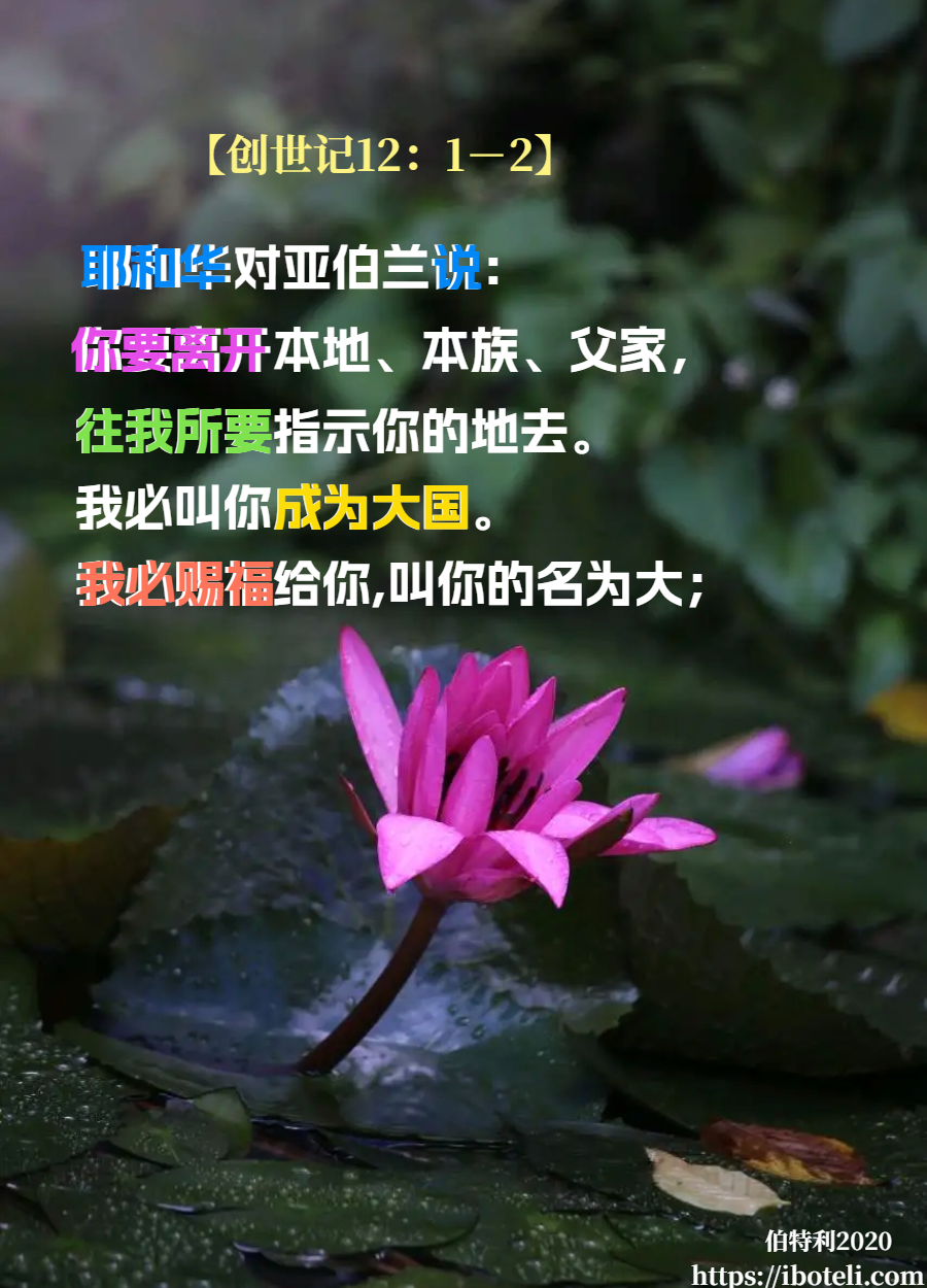 领会天父的心意（394） 在孤独中，经历神同在！