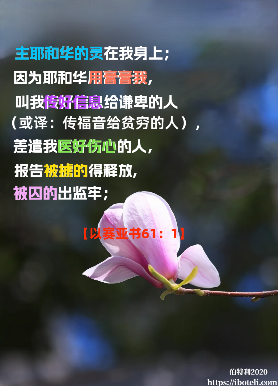 领会天父的心意（398） 摩西的母亲约基别的信心