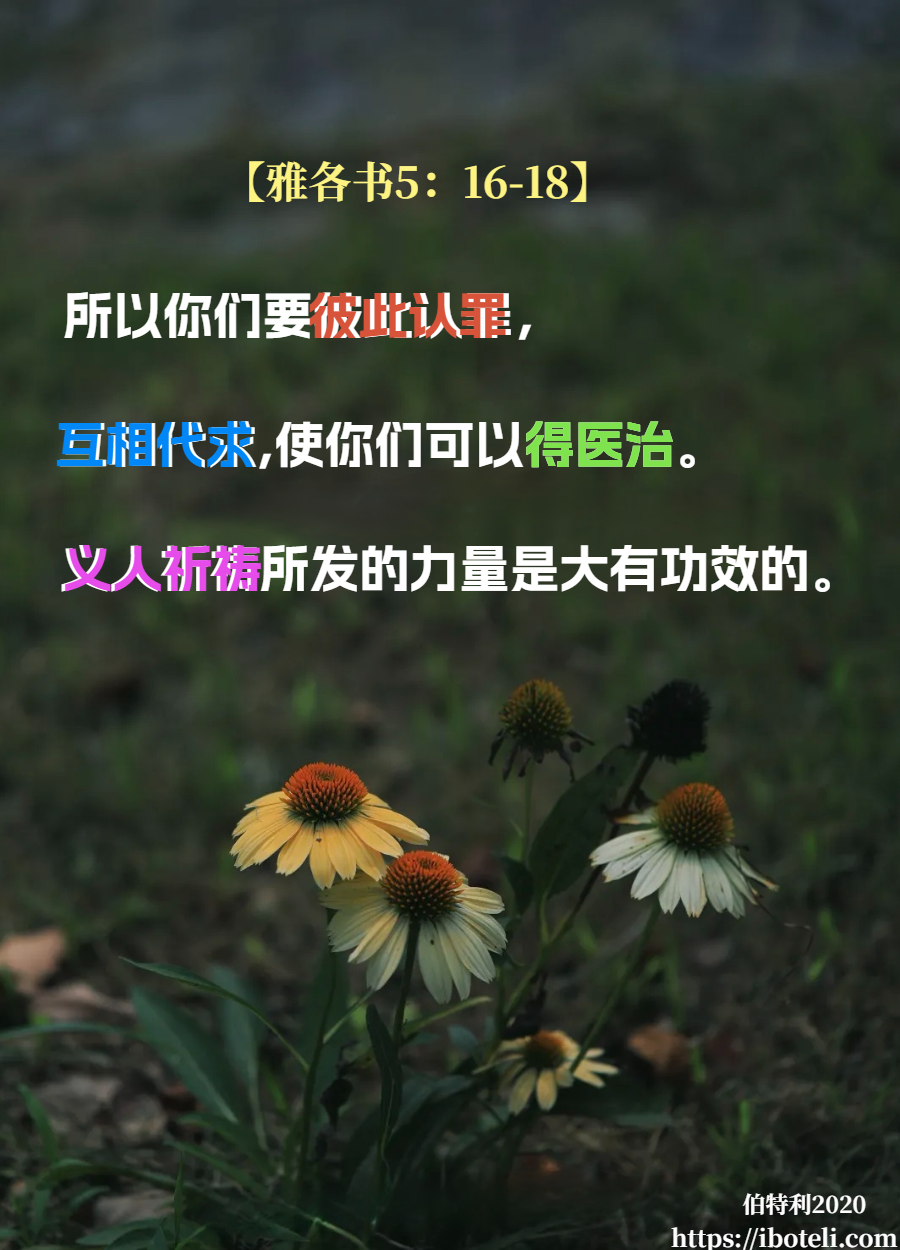 领会天父的心意（400） 义人的祈祷，大有功效