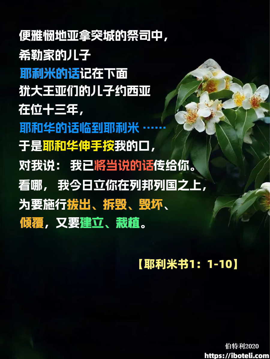 领会天父的心意（401） 神智慧又宝贵的拣选