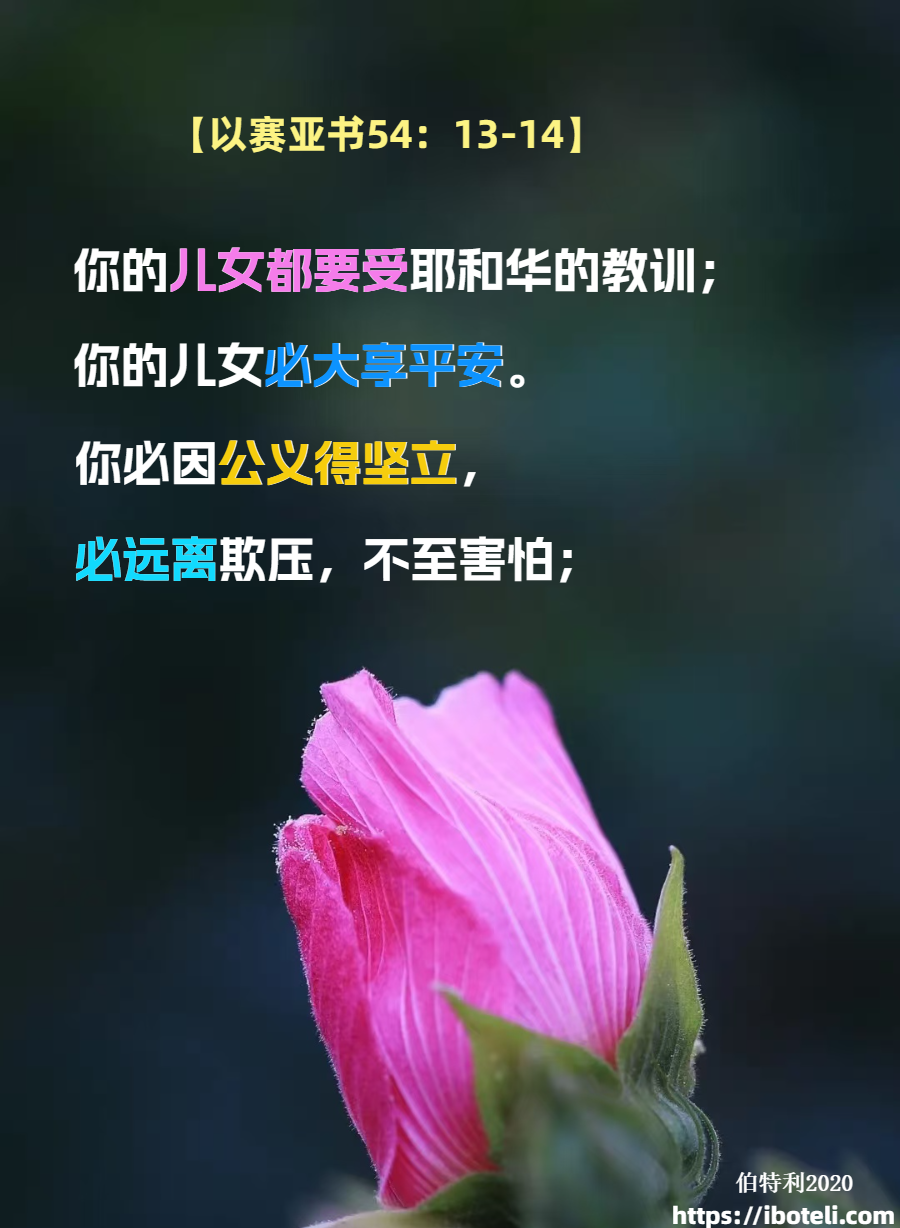 领会天父的心意（405）敬畏耶和华的名直到万代 -致年轻人（二）