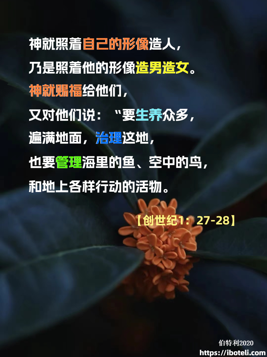 领会天父的心意（412）大学的学习与装备 ∽致年轻人（九）