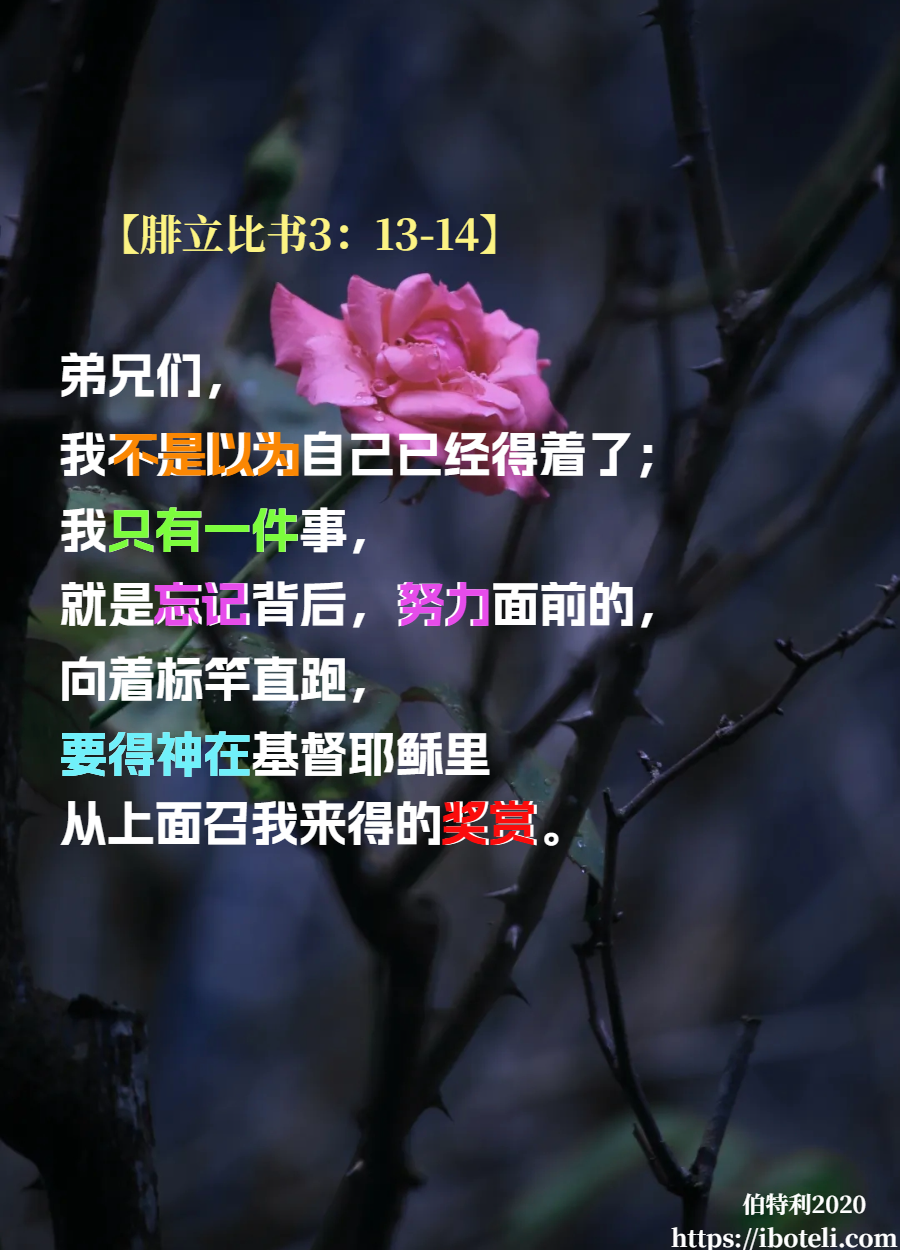 领会天父的心意（419）足球场外的祝福 ~致年轻人（十六）