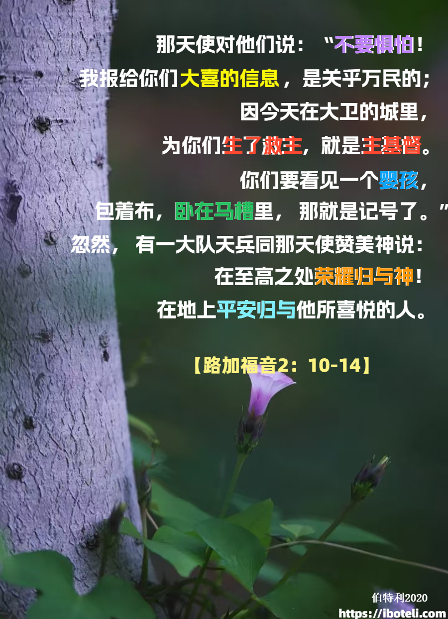 领会天父的心意（428）圣诞节的默想 ∽致年轻人（二十五）