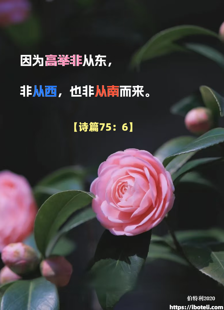 领会天父的心意（448）感谢神暗中的拣选 ∽致年轻人（四十五）