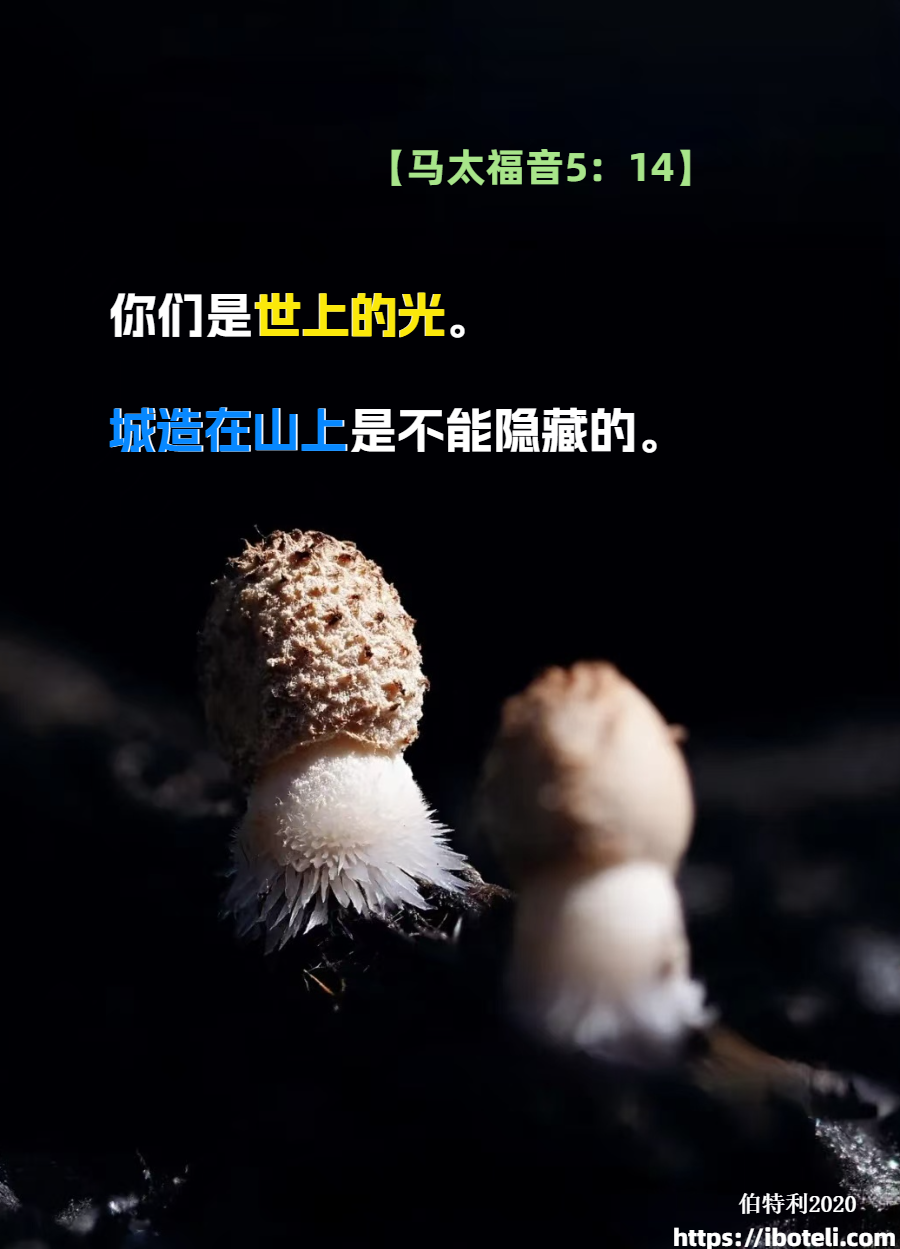 领会天父的心意（451）为伟大的呼召感谢神∽致年轻人（四十八）