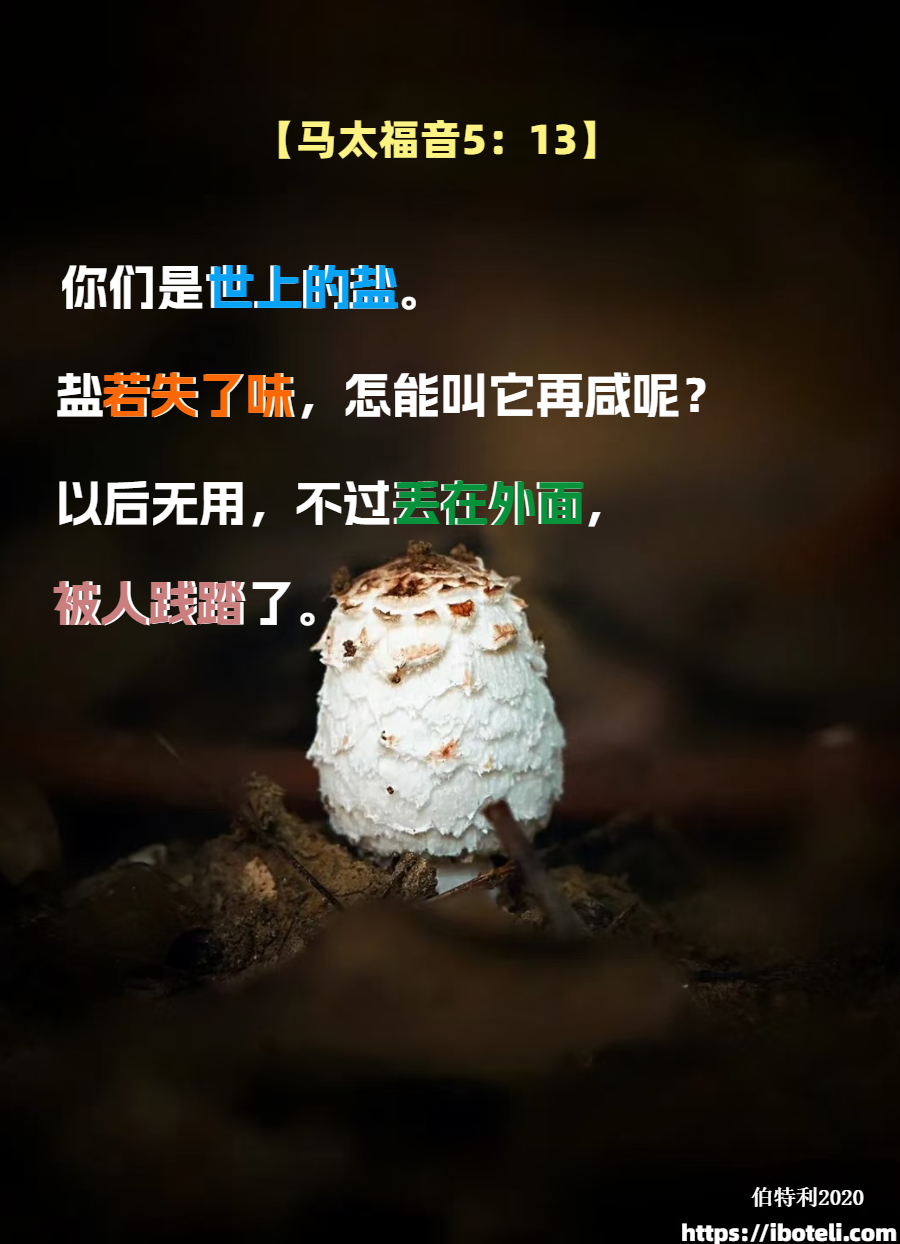 领会天父的心意（451）为伟大的呼召感谢神∽致年轻人（四十八）