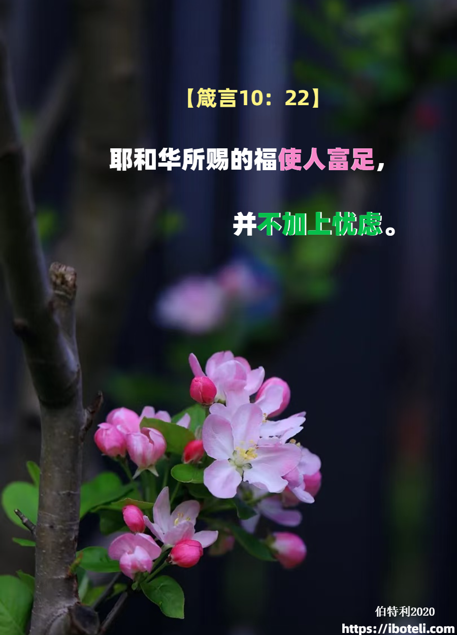 领会天父的心意（452）在主里夸胜 ∽致年轻人（四十九）