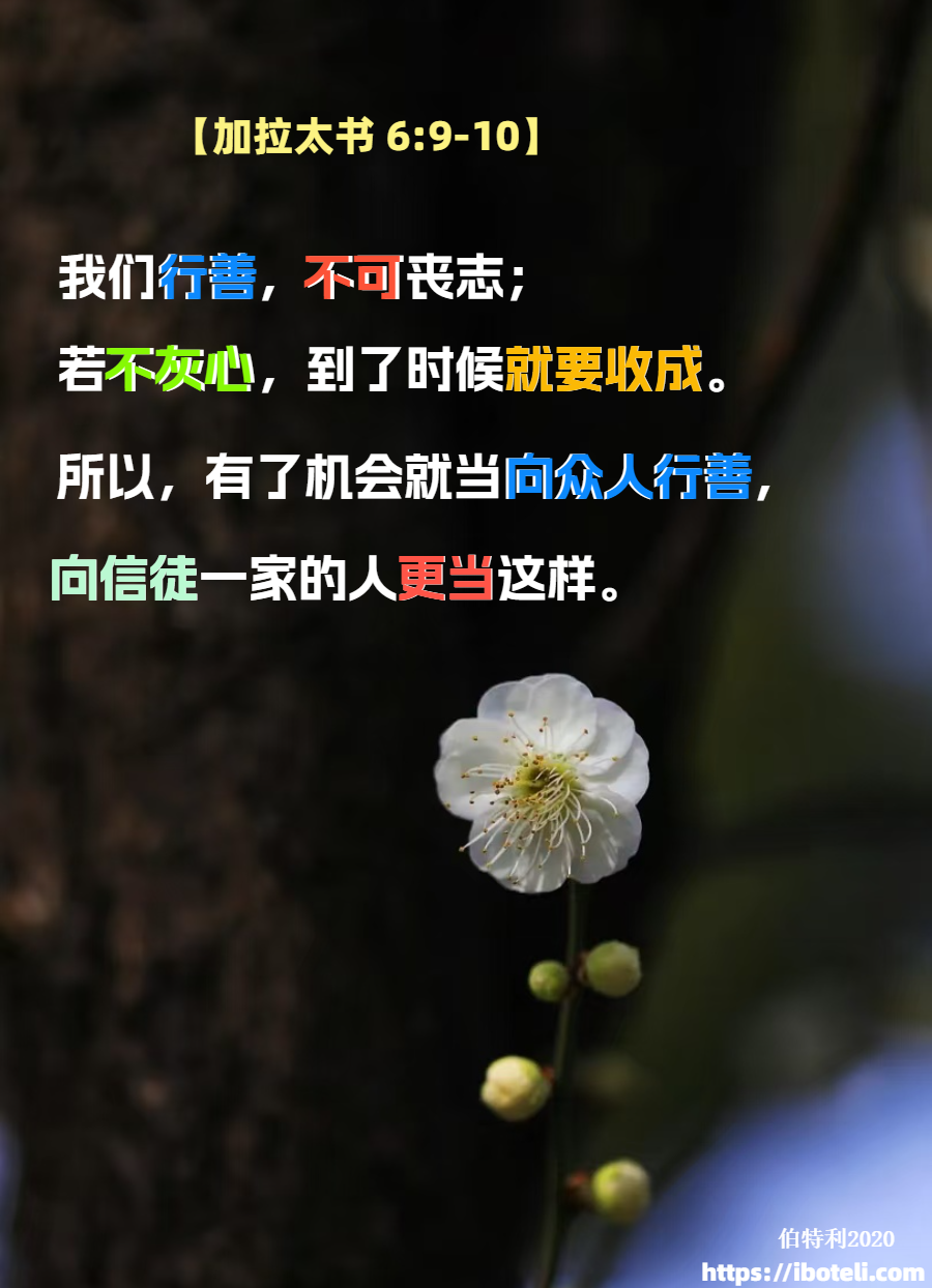 领会天父的心意（458）宝贵的慈善事工 ∽致年轻人（五十五）