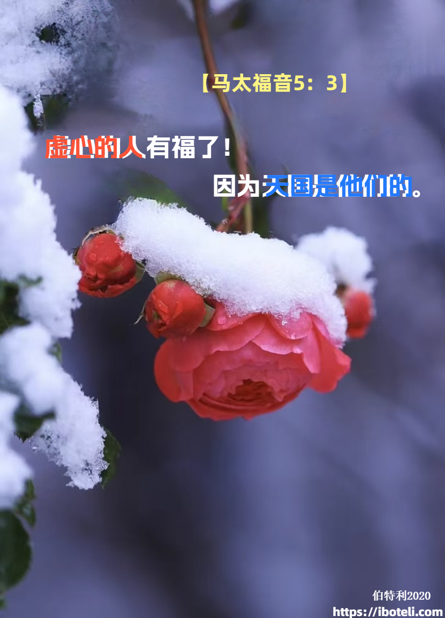 领会天父的心意（459）虚心的人有福了 ∽致年轻人（五十六）