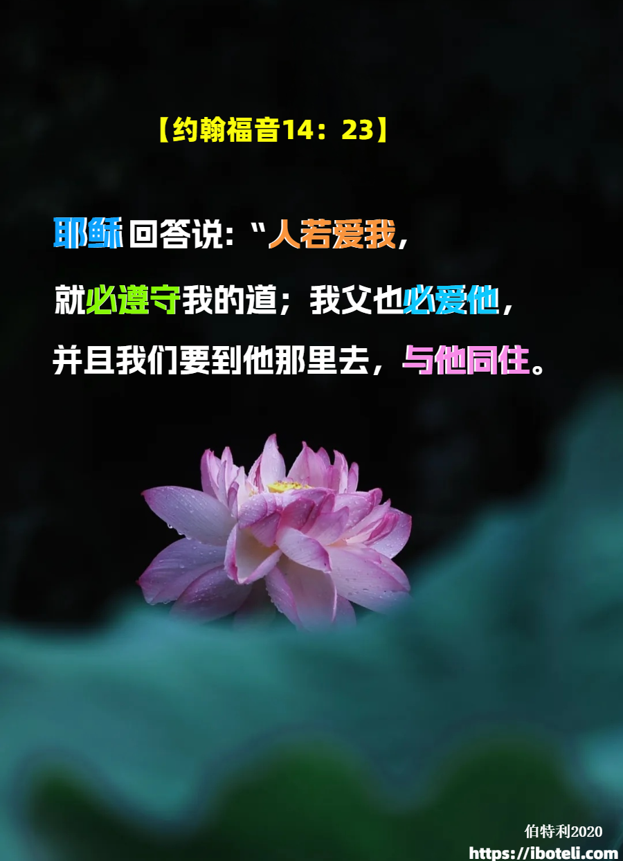 领会天父的心意（464）清心的人有福了∽致年轻人（六十一）