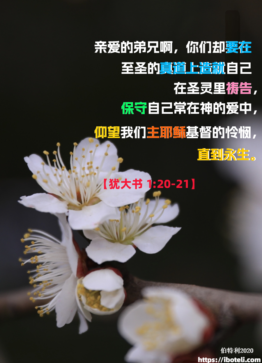 领会天父的心意（470）宝贵的绿色通道∽致年轻人（六十七）